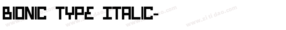 Bionic Type Italic字体转换